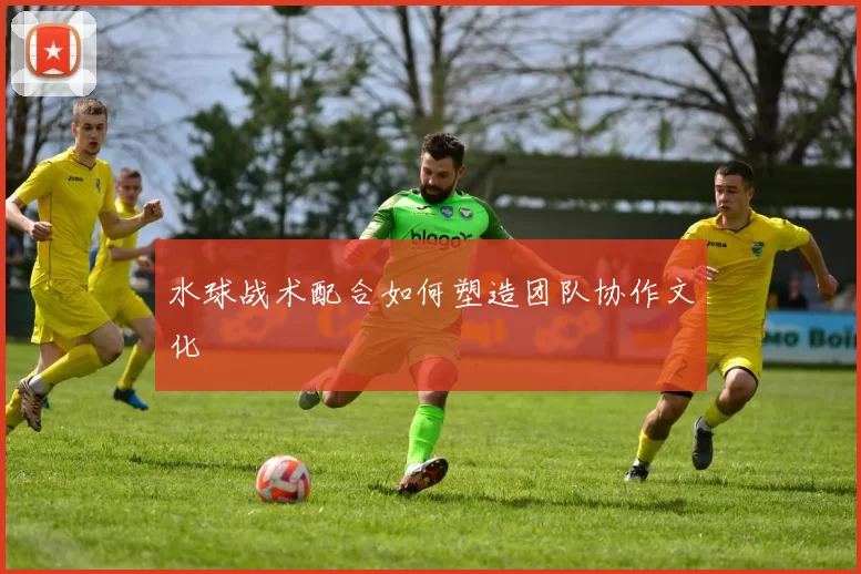 水球战术配合如何塑造团队协作文化