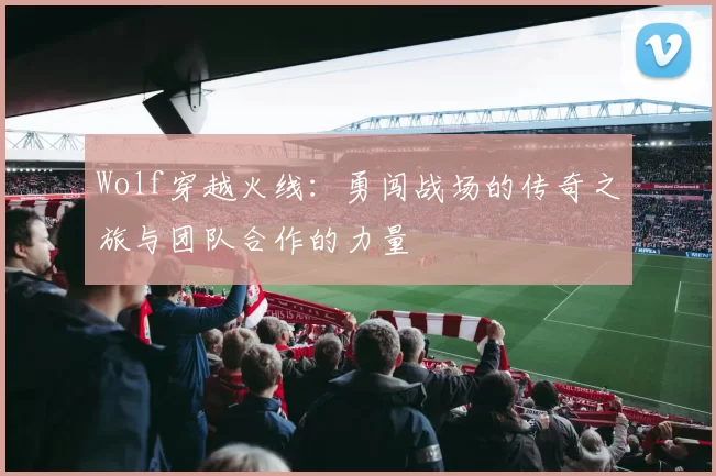 Wolf穿越火线：勇闯战场的传奇之旅与团队合作的力量