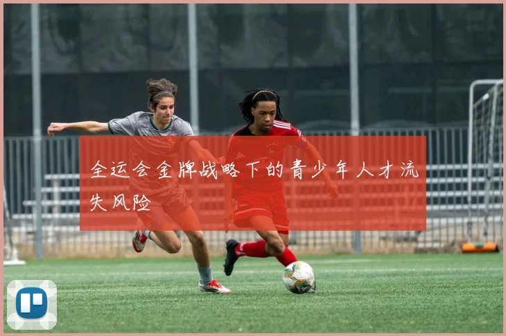全运会金牌战略下的青少年人才流失风险