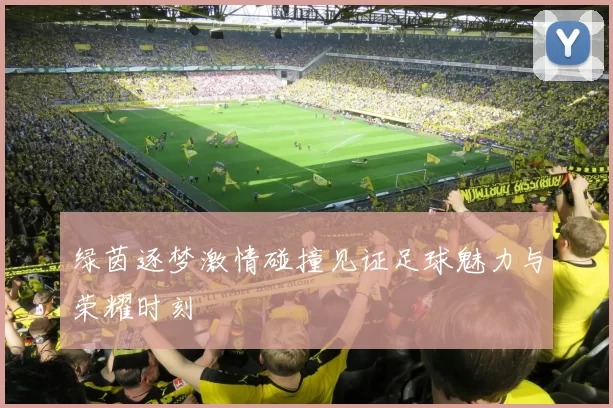 绿茵逐梦激情碰撞见证足球魅力与荣耀时刻