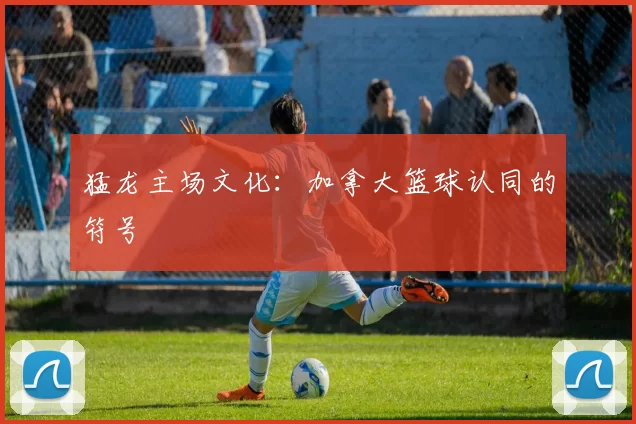 猛龙主场文化：加拿大篮球认同的符号