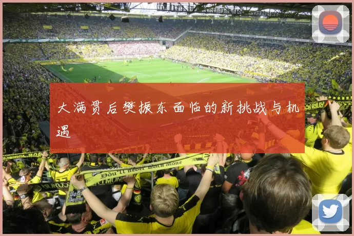 大满贯后樊振东面临的新挑战与机遇