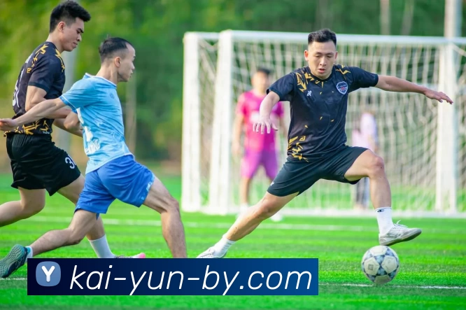 开云kaiyunAPP 封面图